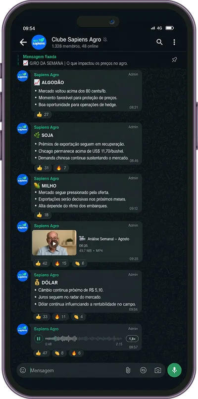 Celular exibindo a conversa do grupo do Clube Sapiens no WhatsApp Celular exibindo a conversa do grupo do Clube Sapiens no WhatsApp